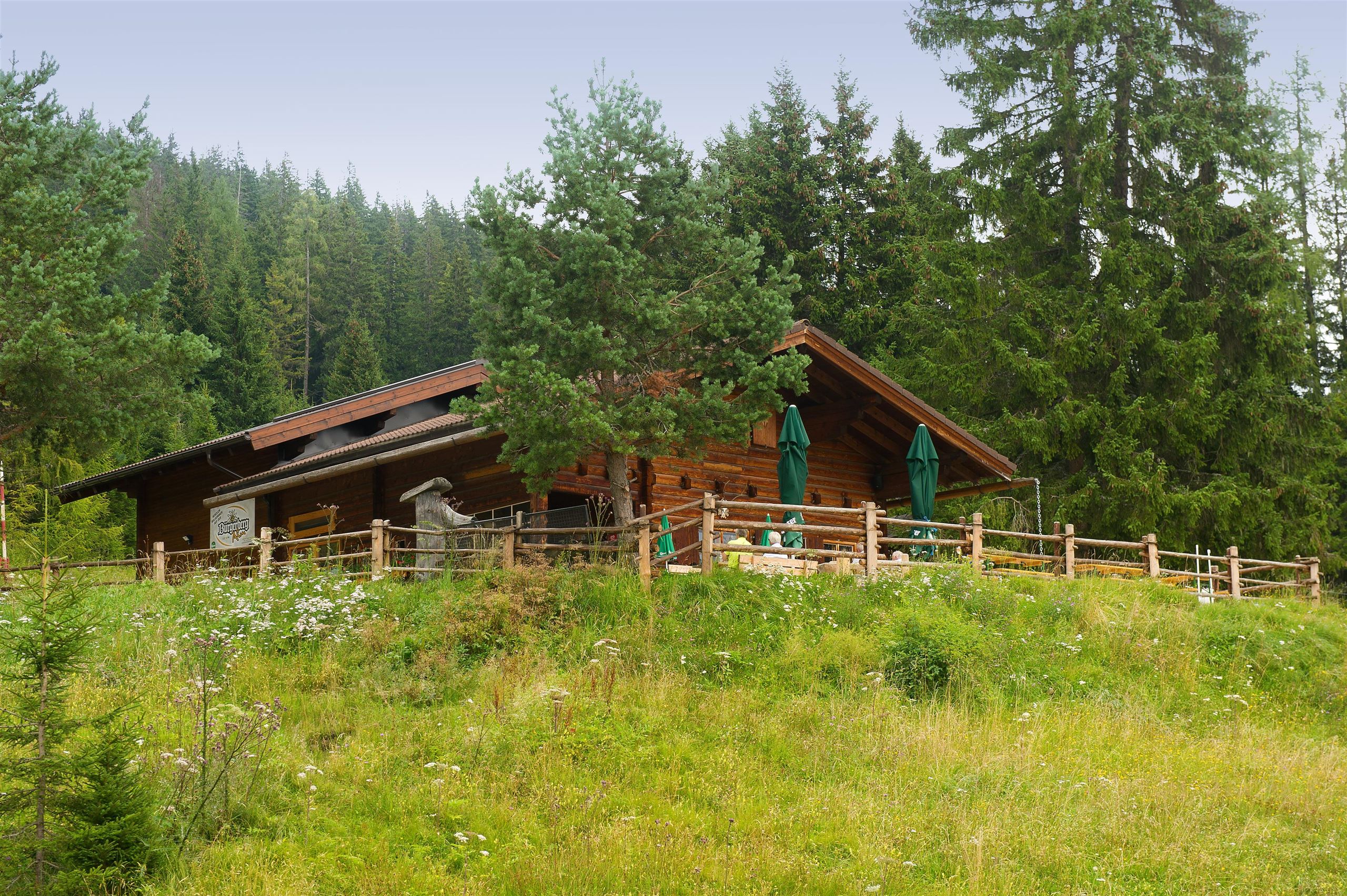 Bürgerbergalm