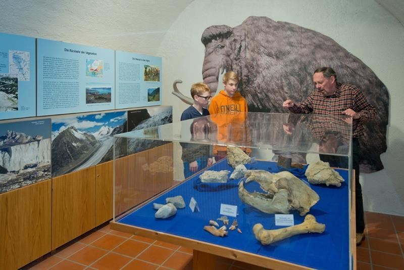 Museum Schloss Lerchen