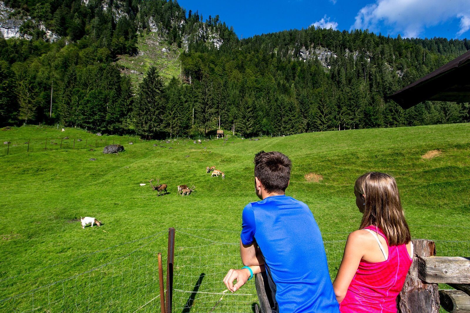 Freizeit & Wildpark Untertauern