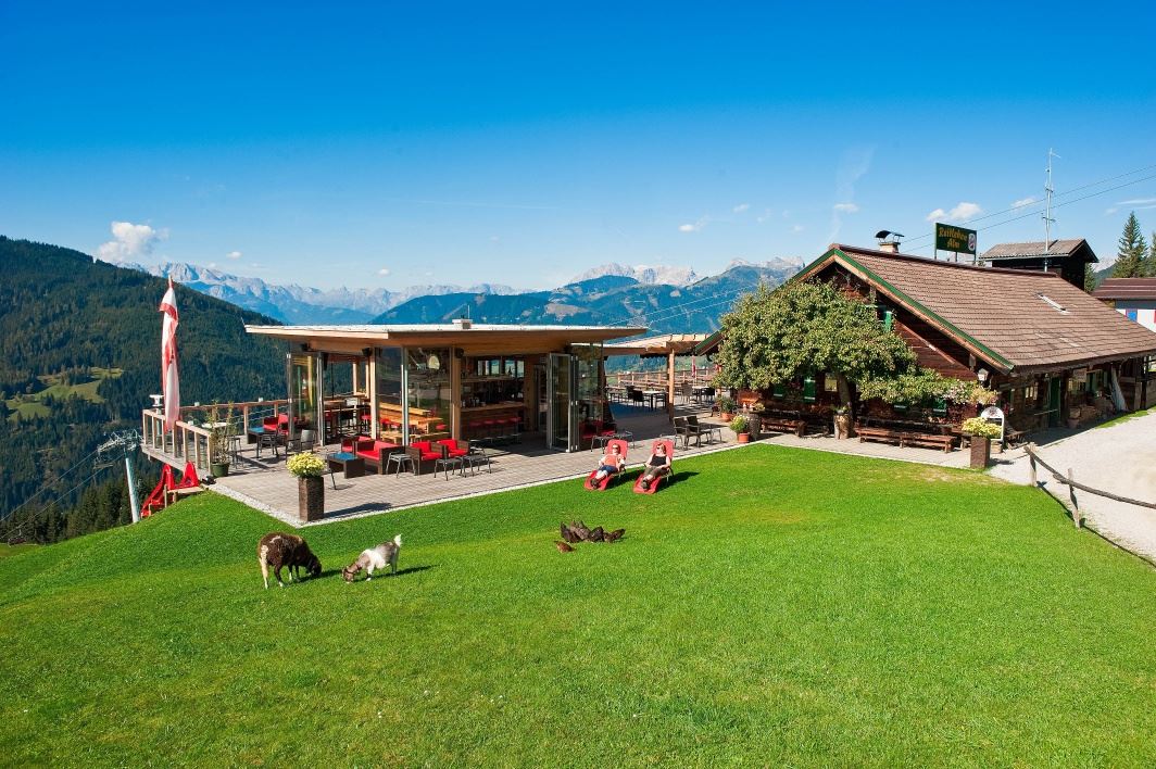Oberbuchsteinalm und Reitlehenalm | Rundweg