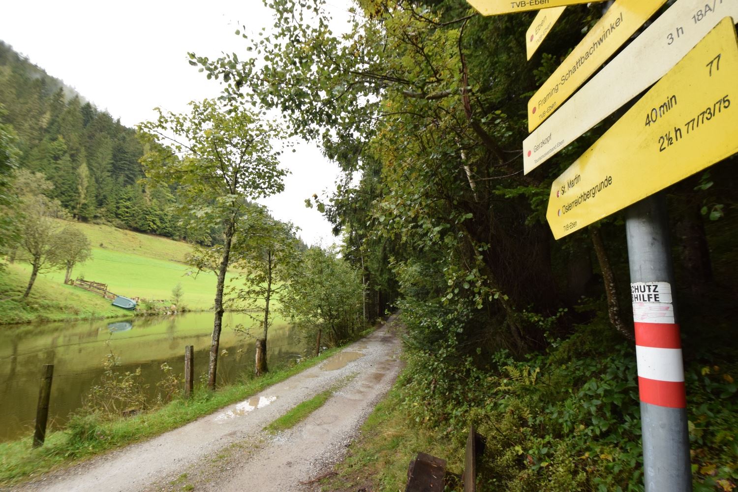 Österreichberg | Rundweg (verkürzte Route ab Halmgut)