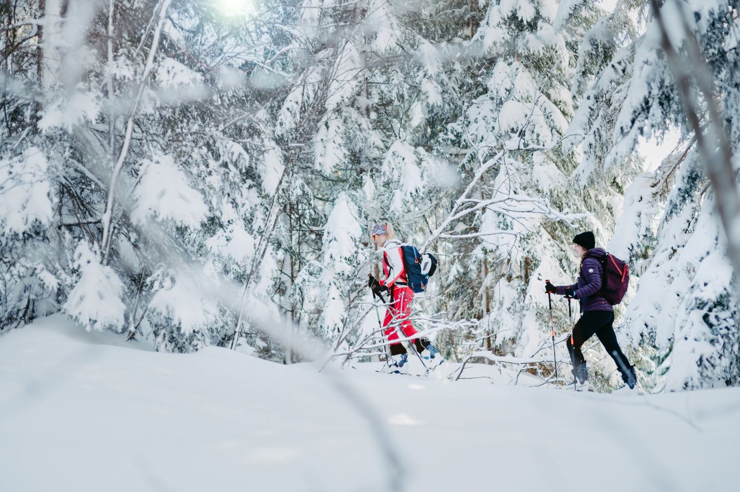 Skitour Schwaigalm über Forststrasse