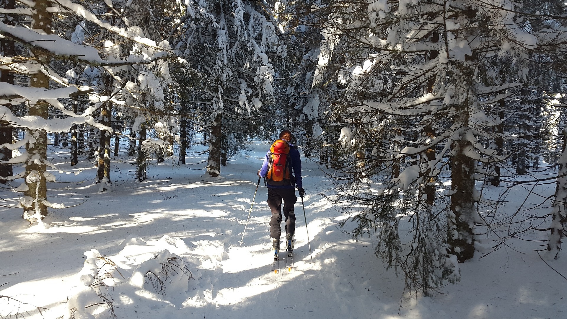 Skitouren Aufstiegsspur Königslehen